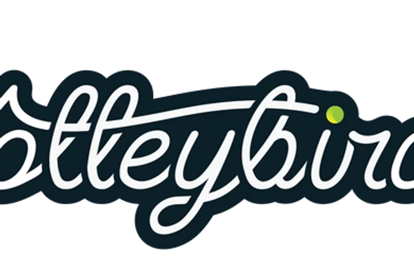 VolleyBird logo