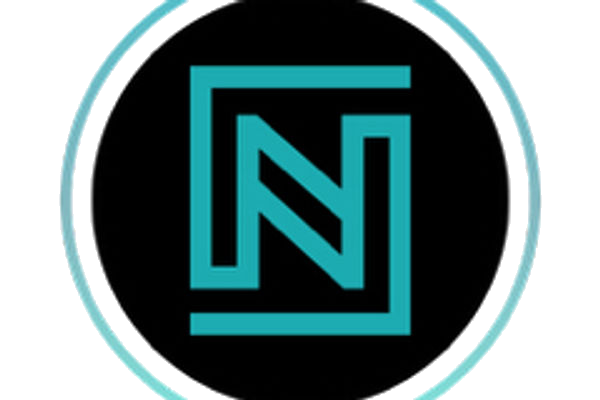 CourtNexa logo