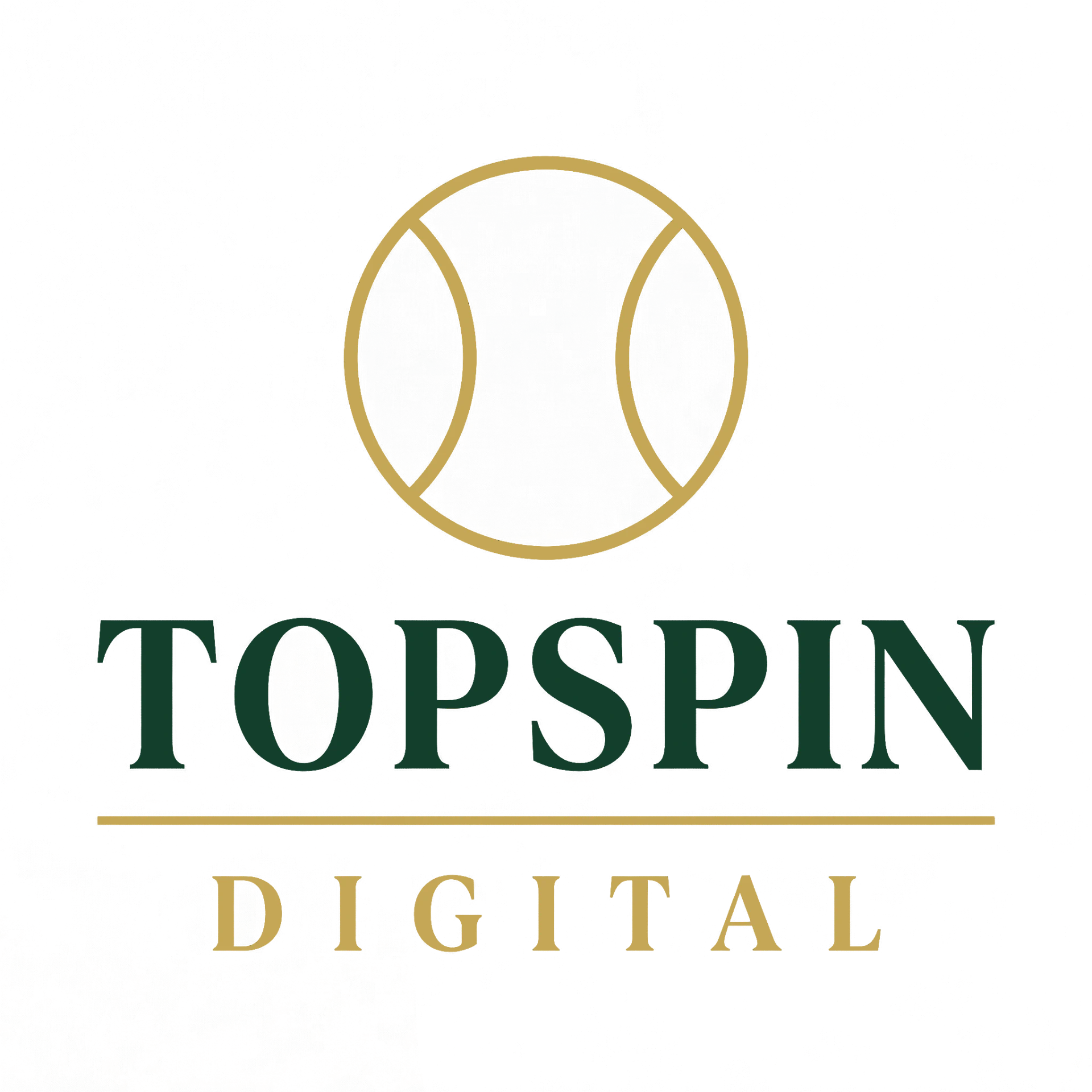 TopSpin Digital logo